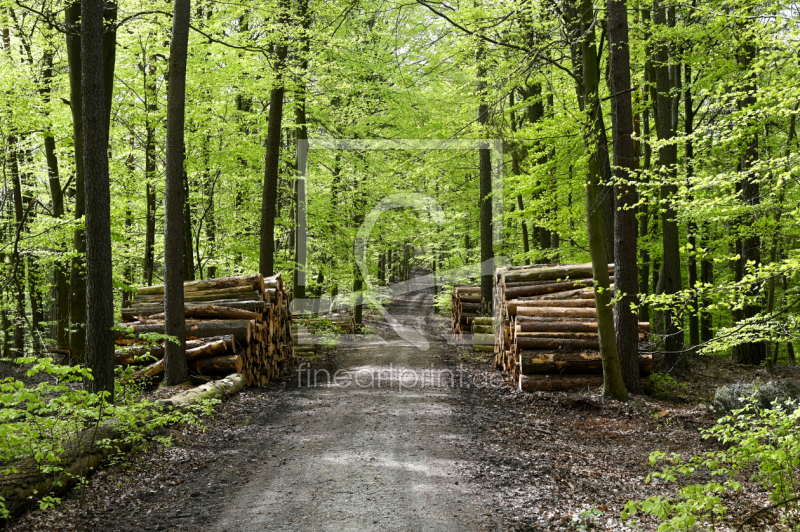 frei w&auml;hlbarer Bildausschnitt f&uuml;r Ihr Bild auf Schieferplatte