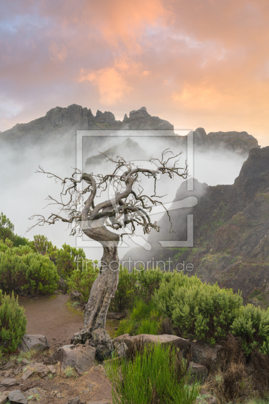 frei w&auml;hlbarer Bildausschnitt f&uuml;r Ihr Bild auf Schieferplatte