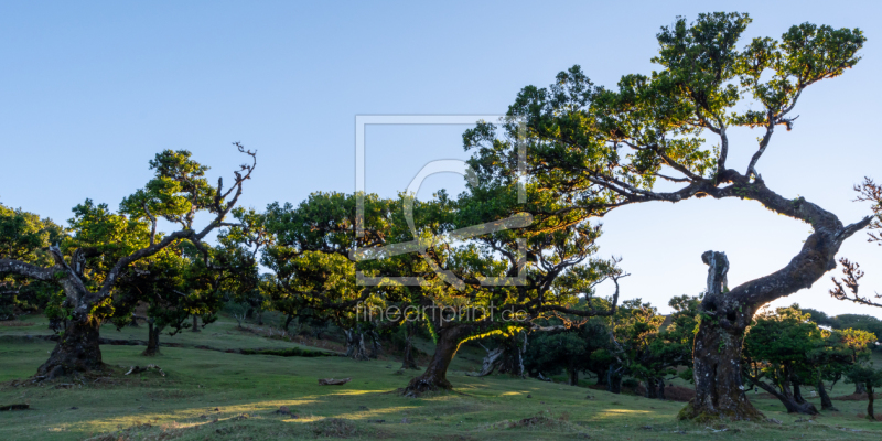 frei wählbarer Bildausschnitt für Ihr Bild auf Schieferplatte