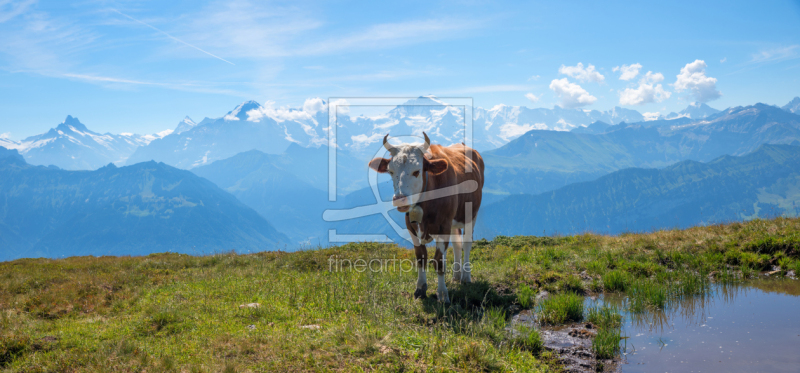 frei wählbarer Bildausschnitt für Ihr Bild auf Schieferplatte