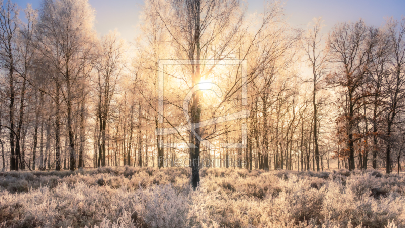 frei w&auml;hlbarer Bildausschnitt f&uuml;r Ihr Bild auf Schieferplatte