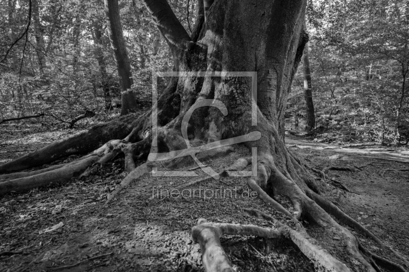 frei w&auml;hlbarer Bildausschnitt f&uuml;r Ihr Bild auf Schieferplatte