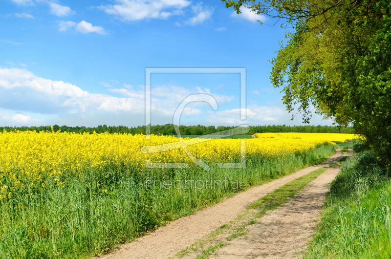 frei w&auml;hlbarer Bildausschnitt f&uuml;r Ihr Bild auf Schieferplatte