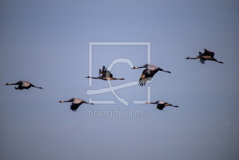 frei wählbarer Bildausschnitt für Ihr Bild auf Schieferplatte