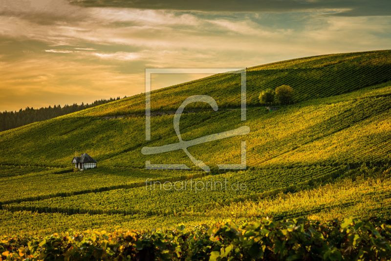 frei w&auml;hlbarer Bildausschnitt f&uuml;r Ihr Bild auf Schieferplatte