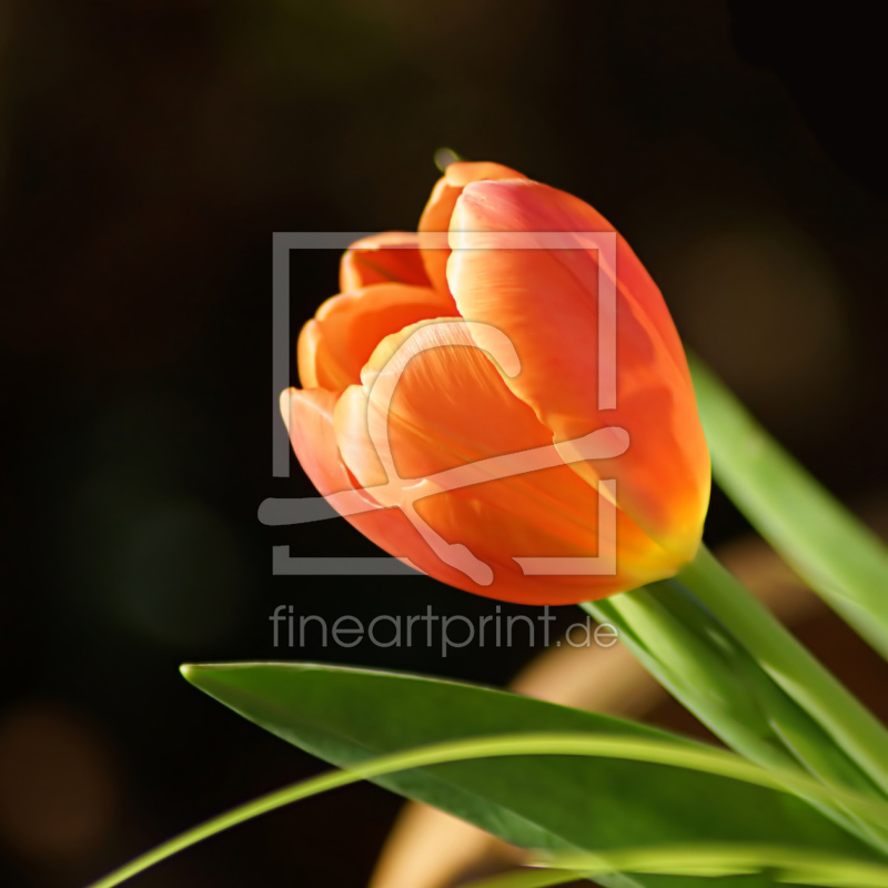 frei wählbarer Bildausschnitt für Ihr Bild auf Schieferplatte