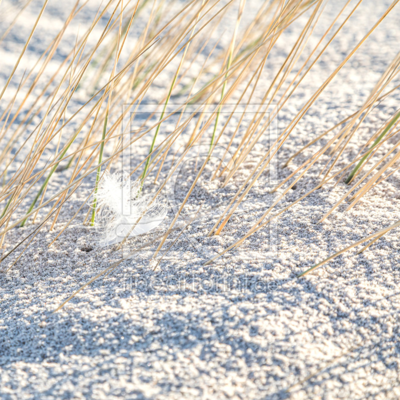 frei w&auml;hlbarer Bildausschnitt f&uuml;r Ihr Bild auf Schieferplatte