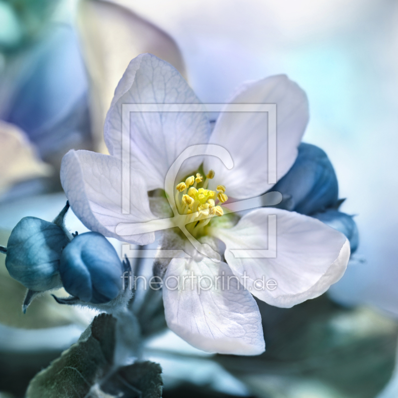 frei wählbarer Bildausschnitt für Ihr Bild auf Schieferplatte