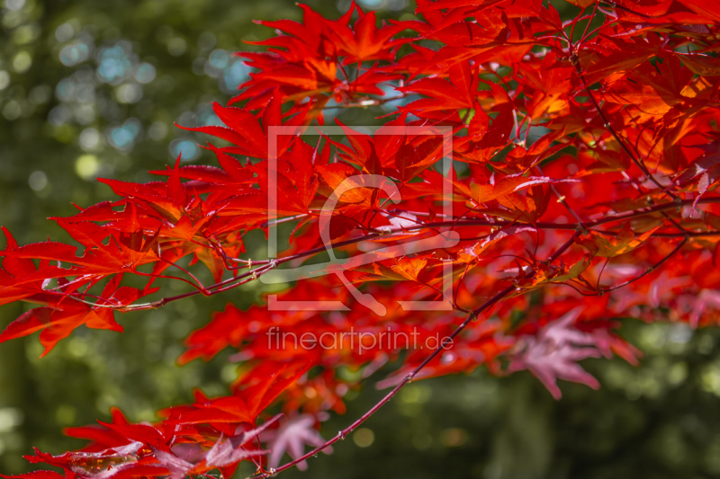 frei w&auml;hlbarer Bildausschnitt f&uuml;r Ihr Bild auf Schieferplatte