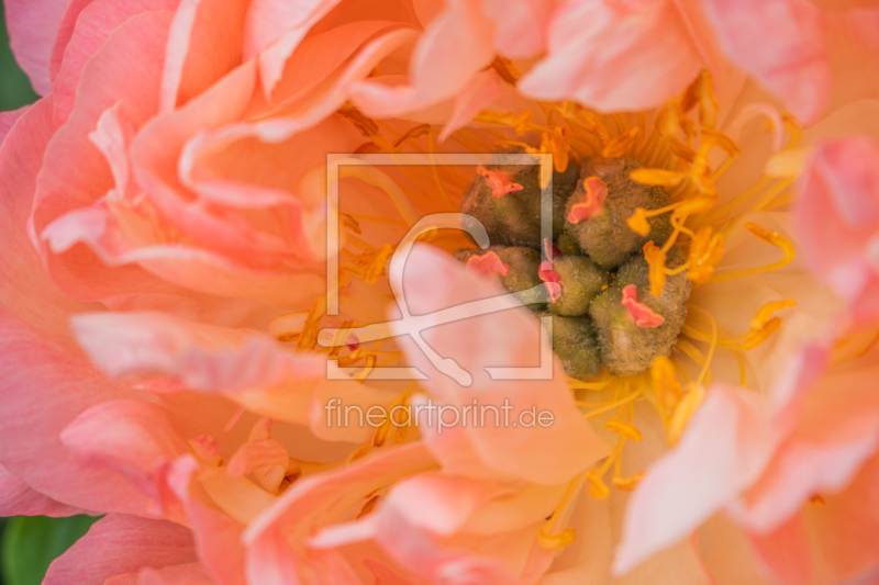 frei w&auml;hlbarer Bildausschnitt f&uuml;r Ihr Bild auf Schieferplatte