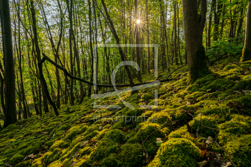 frei w&auml;hlbarer Bildausschnitt f&uuml;r Ihr Bild auf Schieferplatte