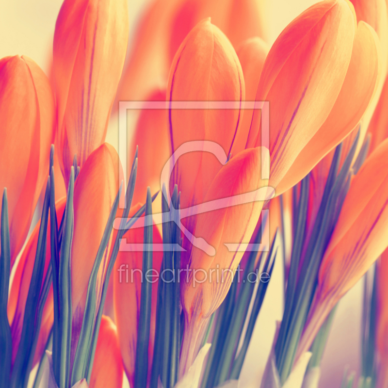 frei w&auml;hlbarer Bildausschnitt f&uuml;r Ihr Bild auf Schieferplatte