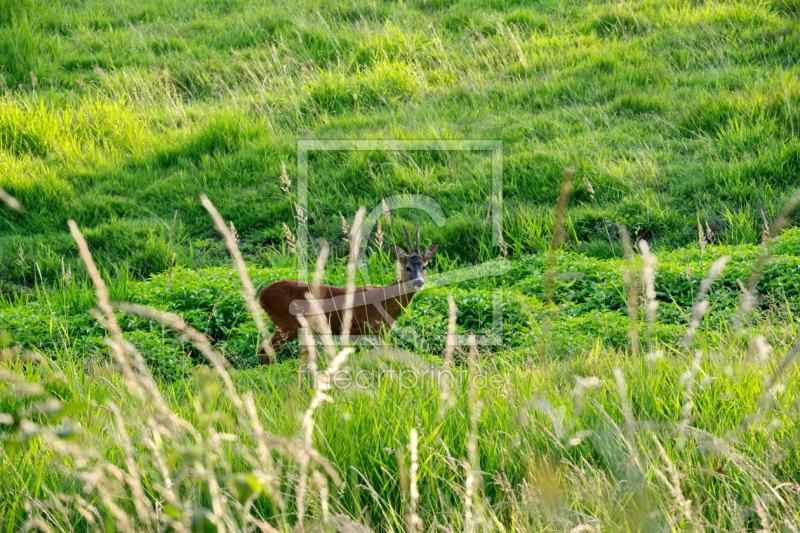 frei wählbarer Bildausschnitt für Ihr Bild auf Schieferplatte