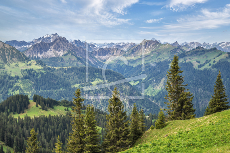 frei wählbarer Bildausschnitt für Ihr Bild auf Schieferplatte