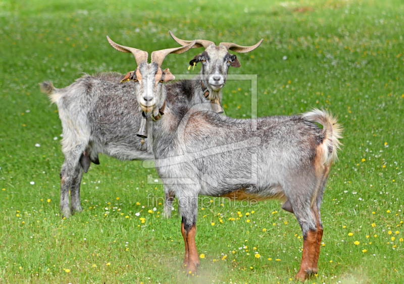 frei wählbarer Bildausschnitt für Ihr Bild auf Schieferplatte