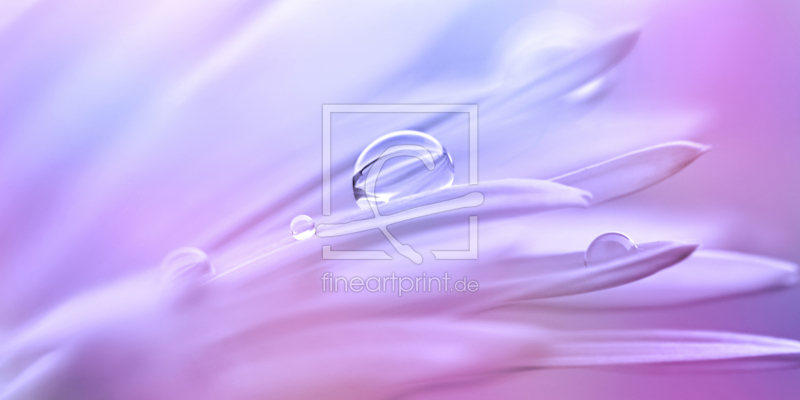 frei w&auml;hlbarer Bildausschnitt f&uuml;r Ihr Bild auf Schieferplatte