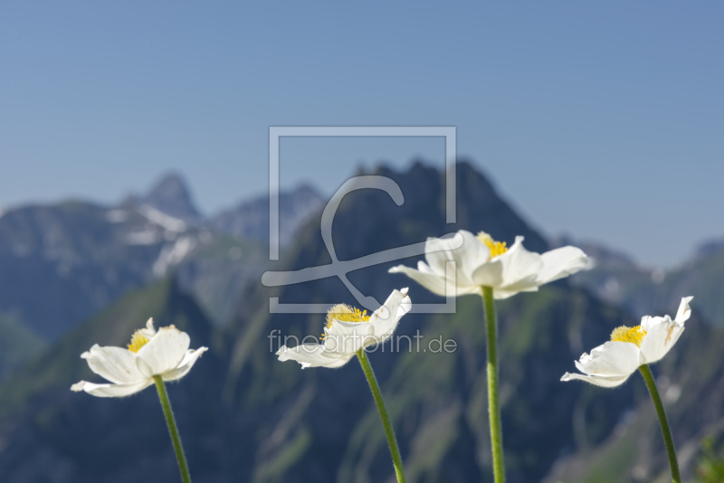 frei wählbarer Bildausschnitt für Ihr Bild auf Schieferplatte