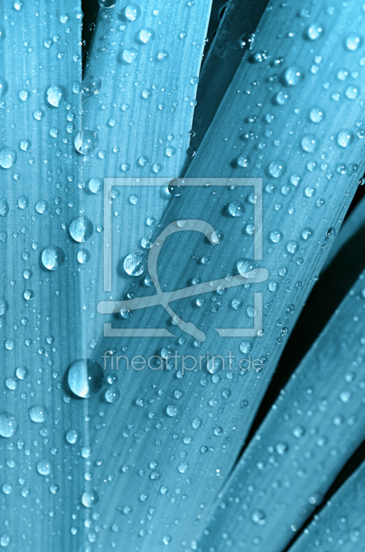 frei wählbarer Bildausschnitt für Ihr Bild auf Schieferplatte