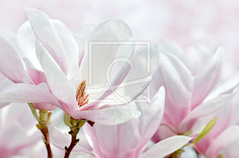 frei wählbarer Bildausschnitt für Ihr Bild auf Schieferplatte