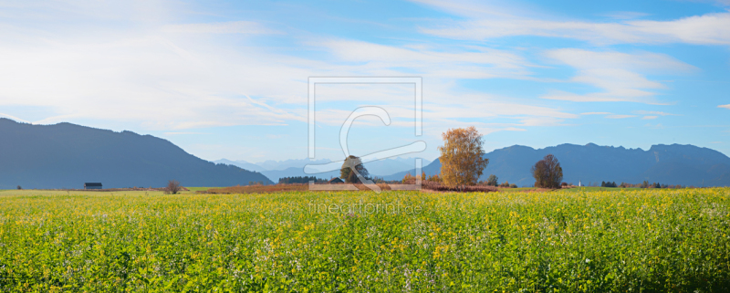 frei wählbarer Bildausschnitt für Ihr Bild auf Schieferplatte