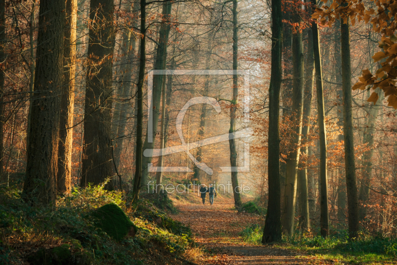 frei w&auml;hlbarer Bildausschnitt f&uuml;r Ihr Bild auf Schieferplatte