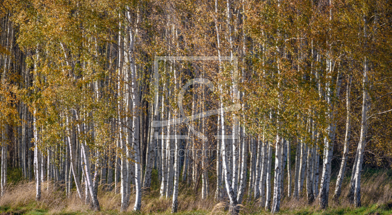 frei w&auml;hlbarer Bildausschnitt f&uuml;r Ihr Bild auf Schieferplatte