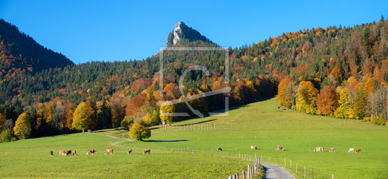 frei wählbarer Bildausschnitt für Ihr Bild auf Schieferplatte