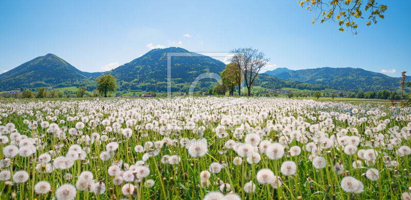 frei wählbarer Bildausschnitt für Ihr Bild auf Schieferplatte