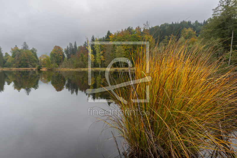 frei wählbarer Bildausschnitt für Ihr Bild auf Schieferplatte