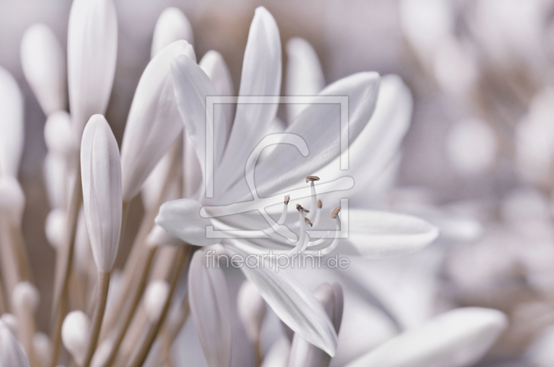 frei wählbarer Bildausschnitt für Ihr Bild auf Schieferplatte