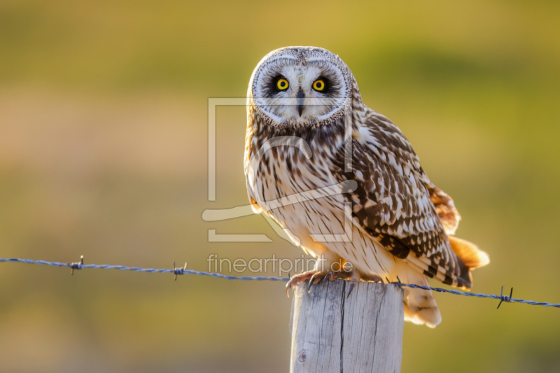 frei w&auml;hlbarer Bildausschnitt f&uuml;r Ihr Bild auf Schieferplatte