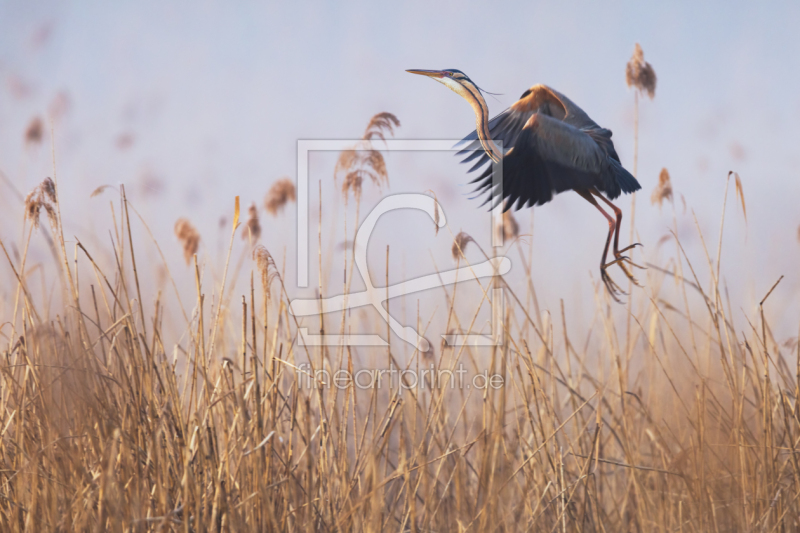 frei wählbarer Bildausschnitt für Ihr Bild auf Schieferplatte
