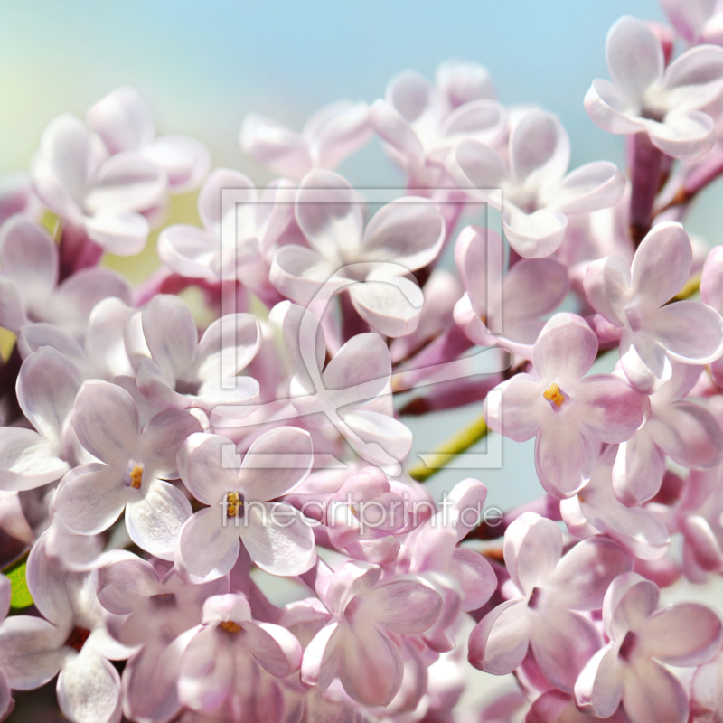 frei wählbarer Bildausschnitt für Ihr Bild auf Schieferplatte