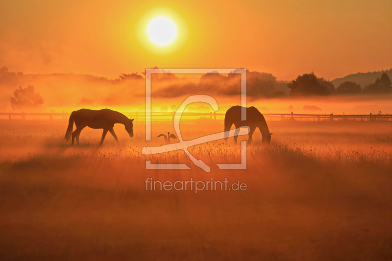 frei wählbarer Bildausschnitt für Ihr Bild auf Schieferplatte