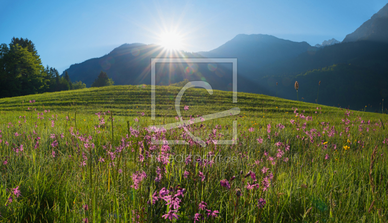 frei wählbarer Bildausschnitt für Ihr Bild auf Schieferplatte
