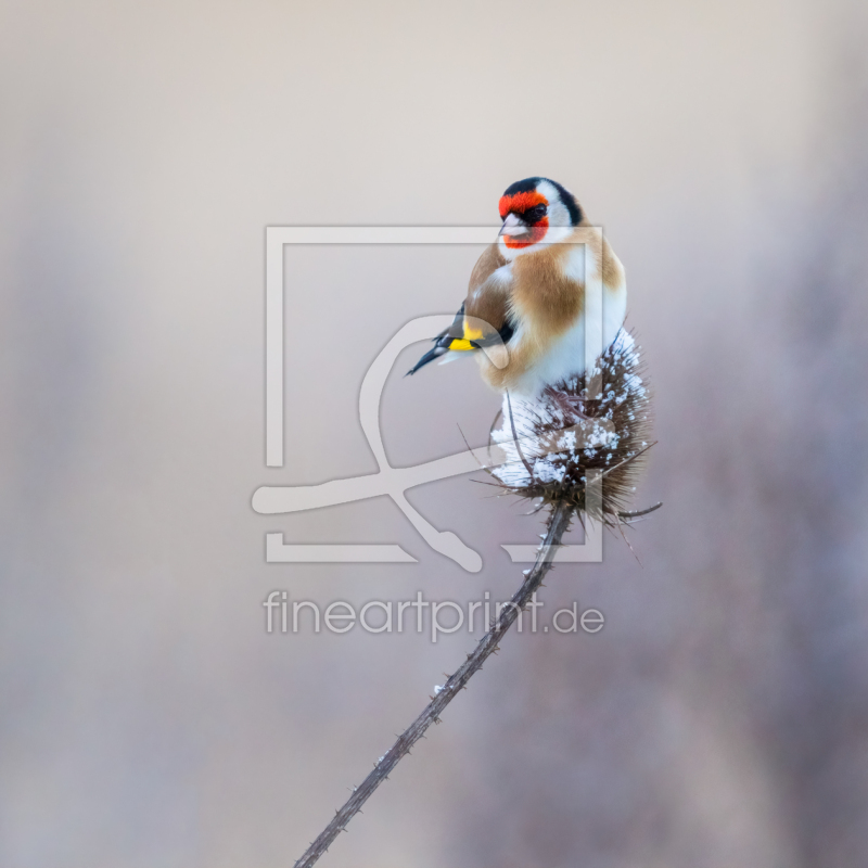 frei wählbarer Bildausschnitt für Ihr Bild auf Schieferplatte