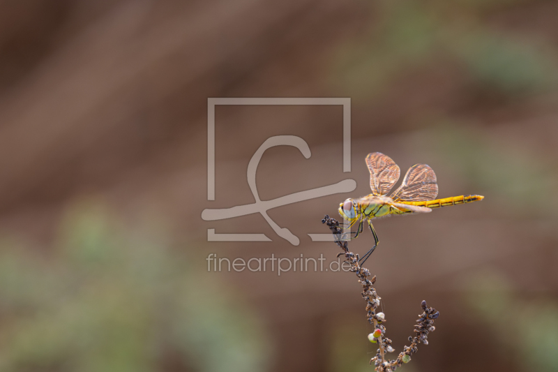frei wählbarer Bildausschnitt für Ihr Bild auf Schieferplatte