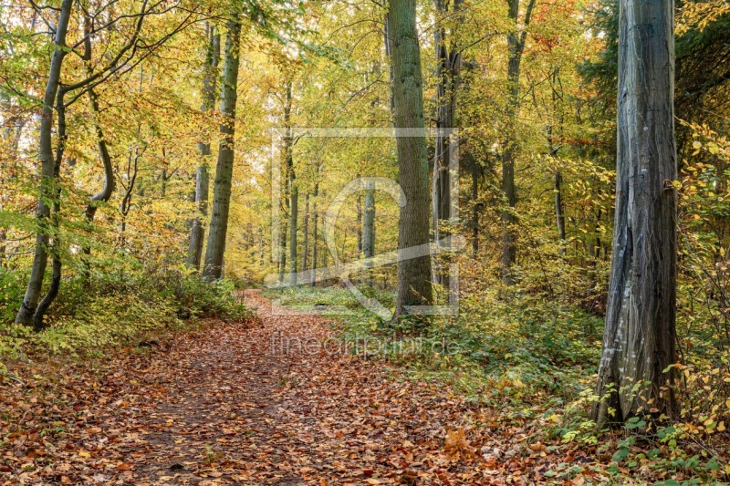 frei w&auml;hlbarer Bildausschnitt f&uuml;r Ihr Bild auf Schieferplatte