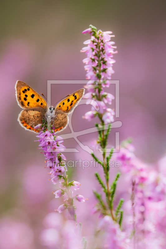 frei w&auml;hlbarer Bildausschnitt f&uuml;r Ihr Bild auf Schieferplatte