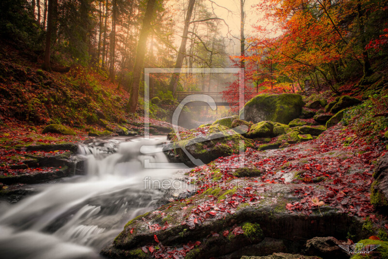frei wählbarer Bildausschnitt für Ihr Bild auf Schieferplatte