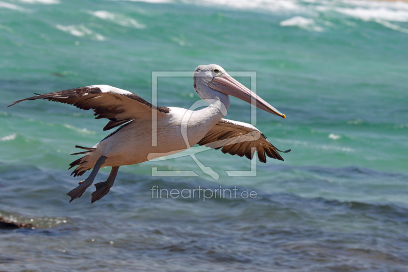 frei w&auml;hlbarer Bildausschnitt f&uuml;r Ihr Bild auf Schieferplatte