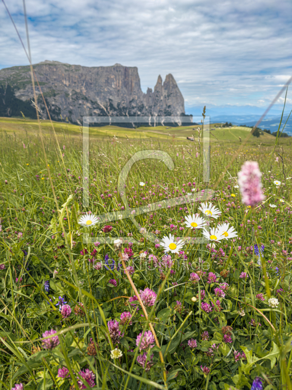 frei w&auml;hlbarer Bildausschnitt f&uuml;r Ihr Bild auf Schieferplatte
