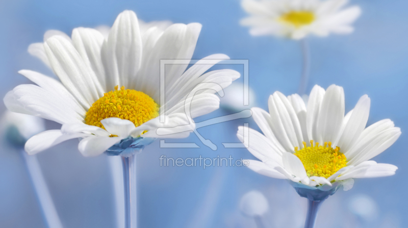 frei w&auml;hlbarer Bildausschnitt f&uuml;r Ihr Bild auf Schieferplatte