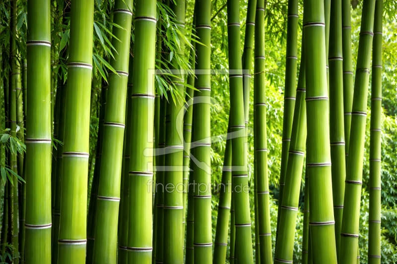 frei w&auml;hlbarer Bildausschnitt f&uuml;r Ihr Bild auf Schieferplatte