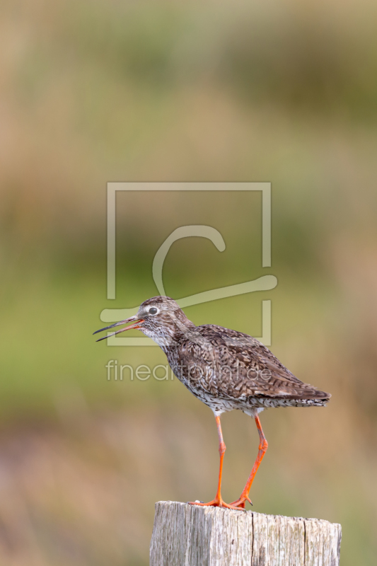 frei w&auml;hlbarer Bildausschnitt f&uuml;r Ihr Bild auf Schieferplatte