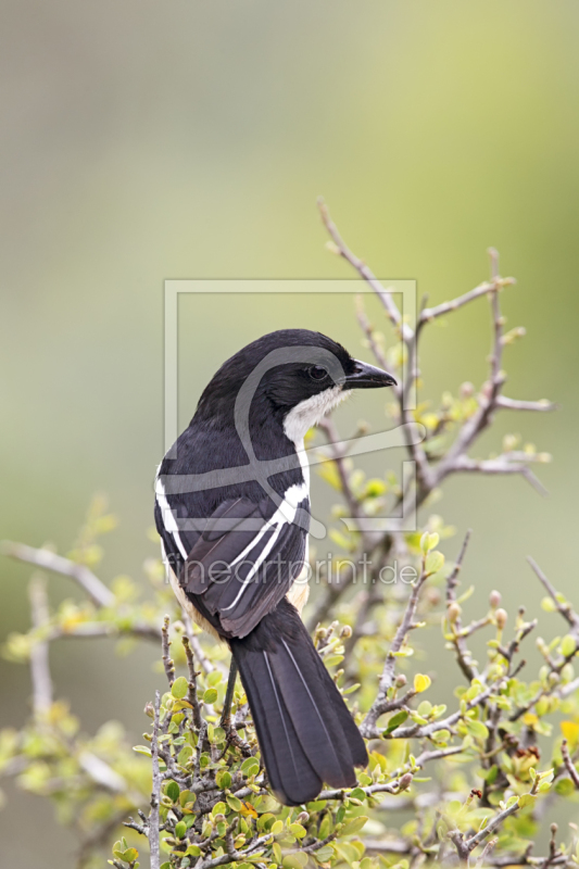 frei w&auml;hlbarer Bildausschnitt f&uuml;r Ihr Bild auf Schieferplatte