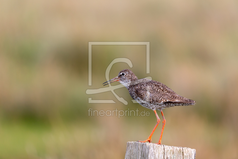 frei w&auml;hlbarer Bildausschnitt f&uuml;r Ihr Bild auf Schieferplatte