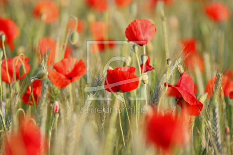 frei w&auml;hlbarer Bildausschnitt f&uuml;r Ihr Bild auf Schieferplatte