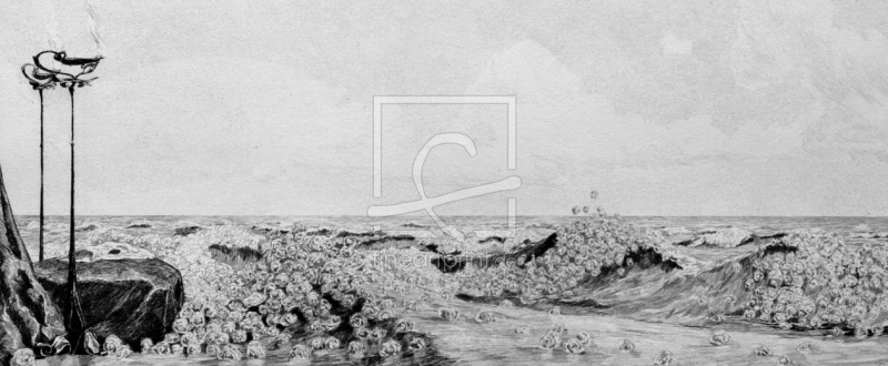 frei wählbarer Bildausschnitt für Ihr Bild auf Schieferplatte