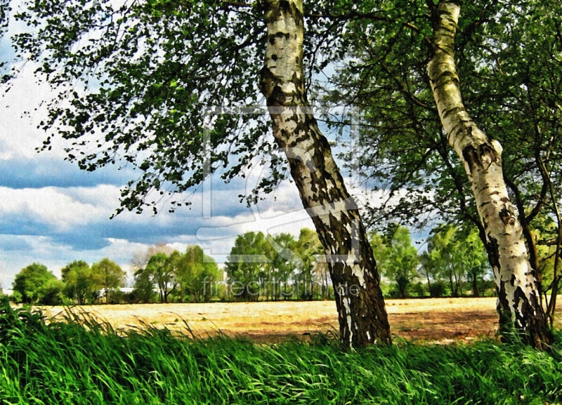 frei wählbarer Bildausschnitt für Ihr Bild auf Schieferplatte